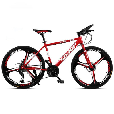 21 Speed Double Disc Mountain Bike