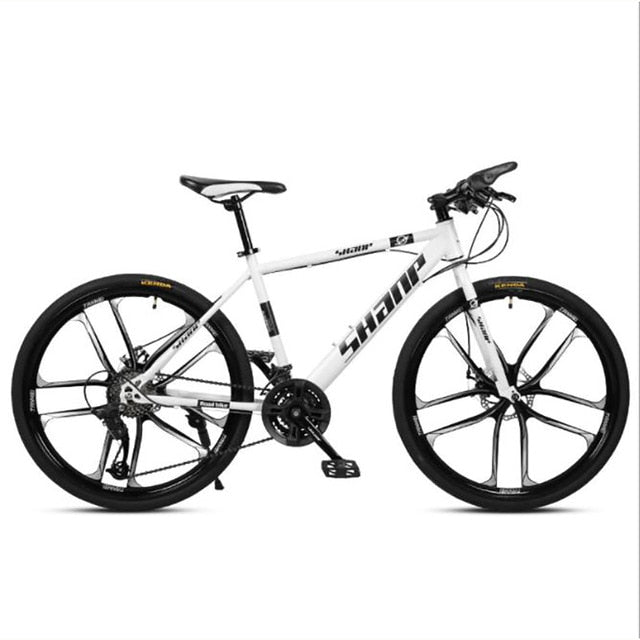 21 Speed Double Disc Mountain Bike