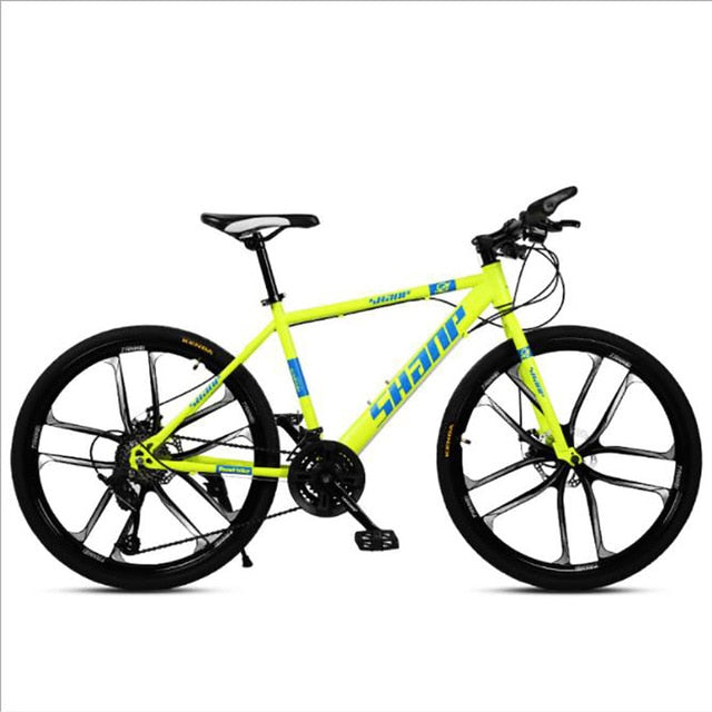 21 Speed Double Disc Mountain Bike