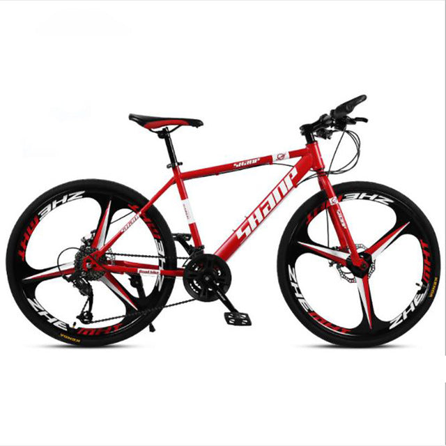 21 Speed Double Disc Mountain Bike