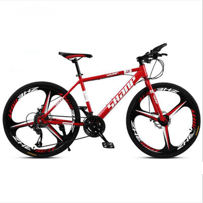 21 Speed Double Disc Mountain Bike