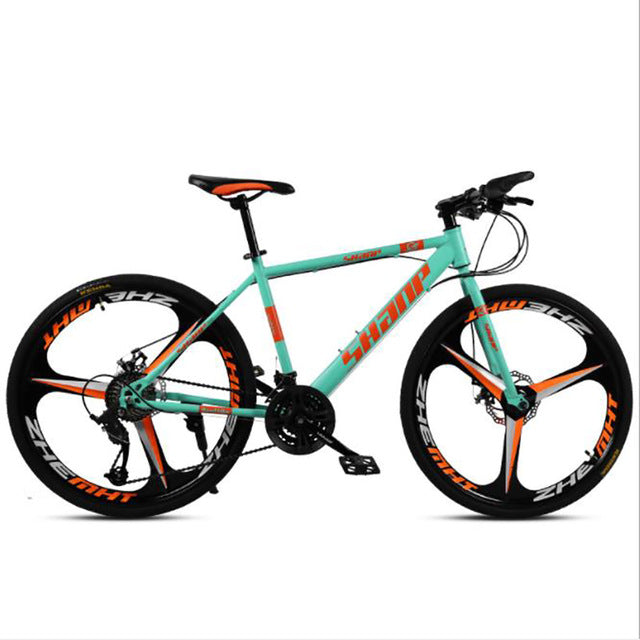 21 Speed Double Disc Mountain Bike